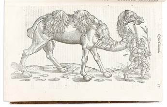 Topsell, Edward (1572-1625) The Historie of Foure-Footed Beastes.